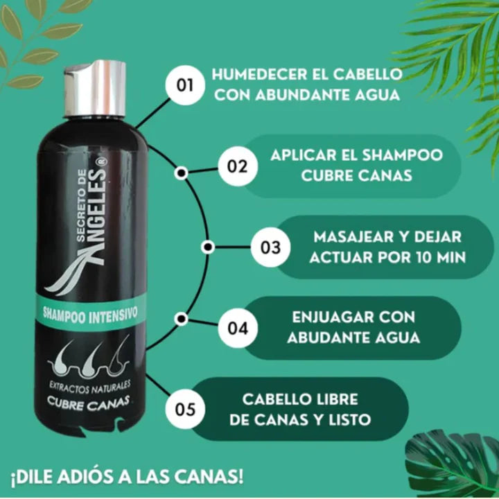 Kit Cubre-Canas Secreto de Angeles🪽 – Color, Fuerza y Revitalización Capilar 3-en-1🌿✨