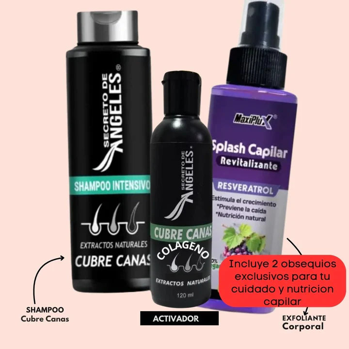 Kit Cubre-Canas Secreto de Angeles🪽 – Color, Fuerza y Revitalización Capilar 3-en-1🌿✨